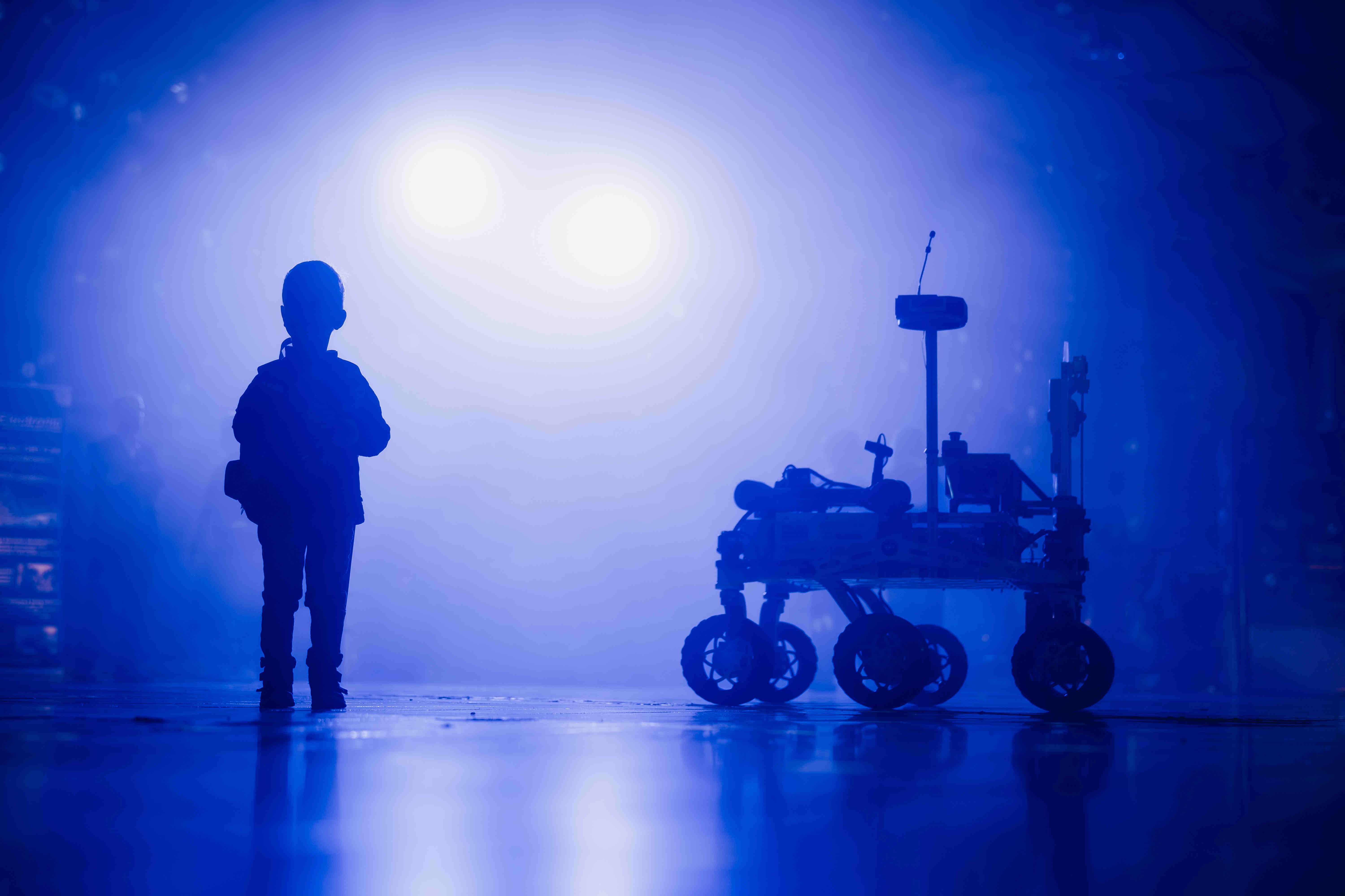 Our favorites image 5